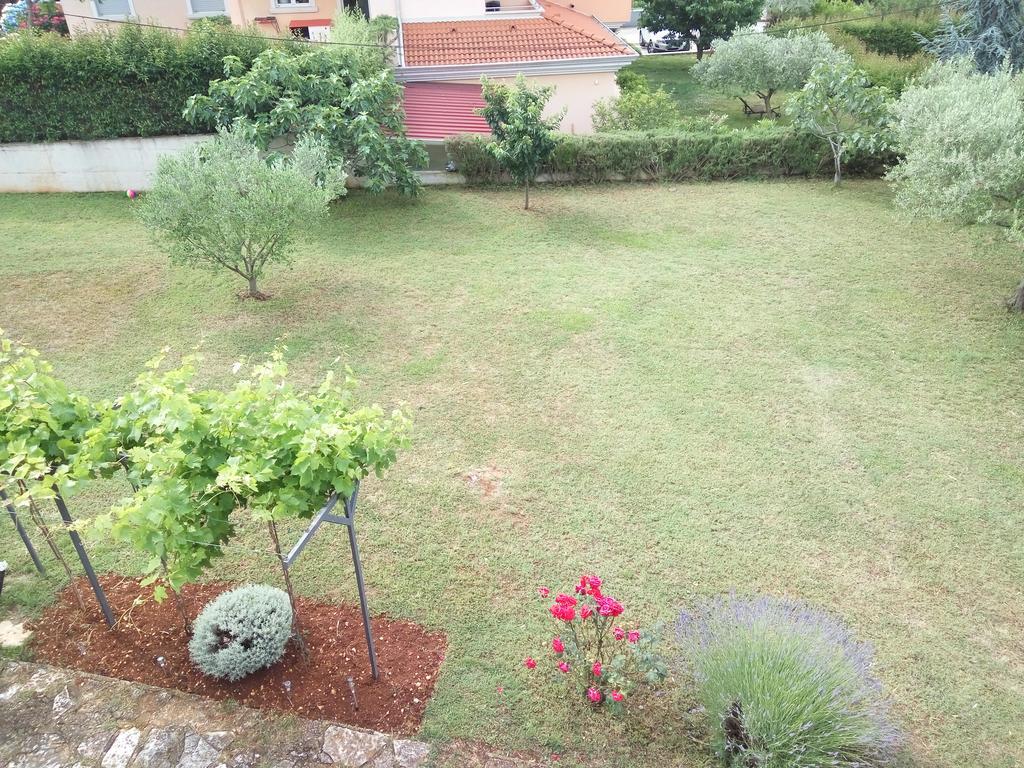 Apartment Asparagus Ровинско село Екстериор снимка